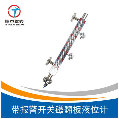 <b>帶報警開關磁翻板液位計</b>